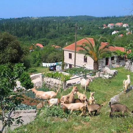 Country House Bakicevo - Two Bedroom With Terrace